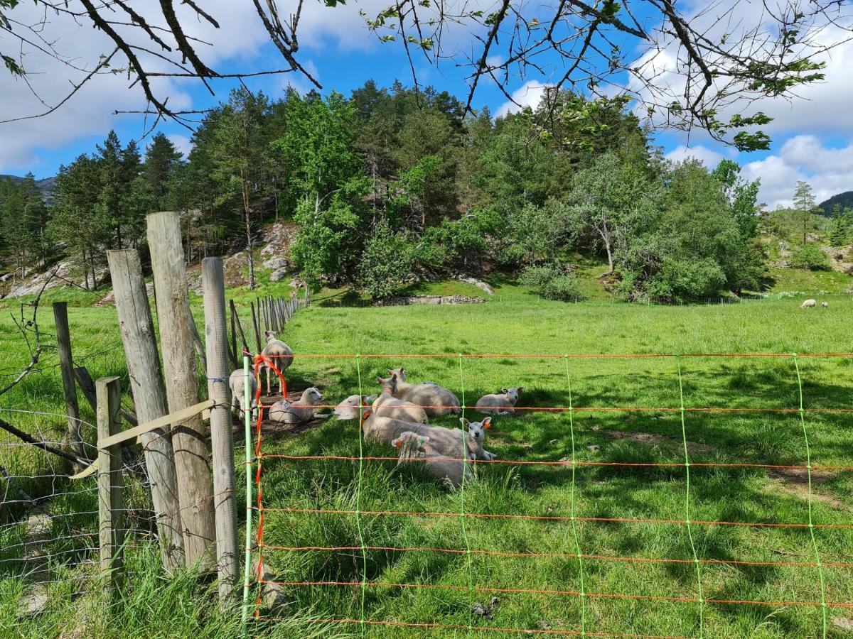 Hygge Pa Fjellet Vila Øyuvstad Exterior foto