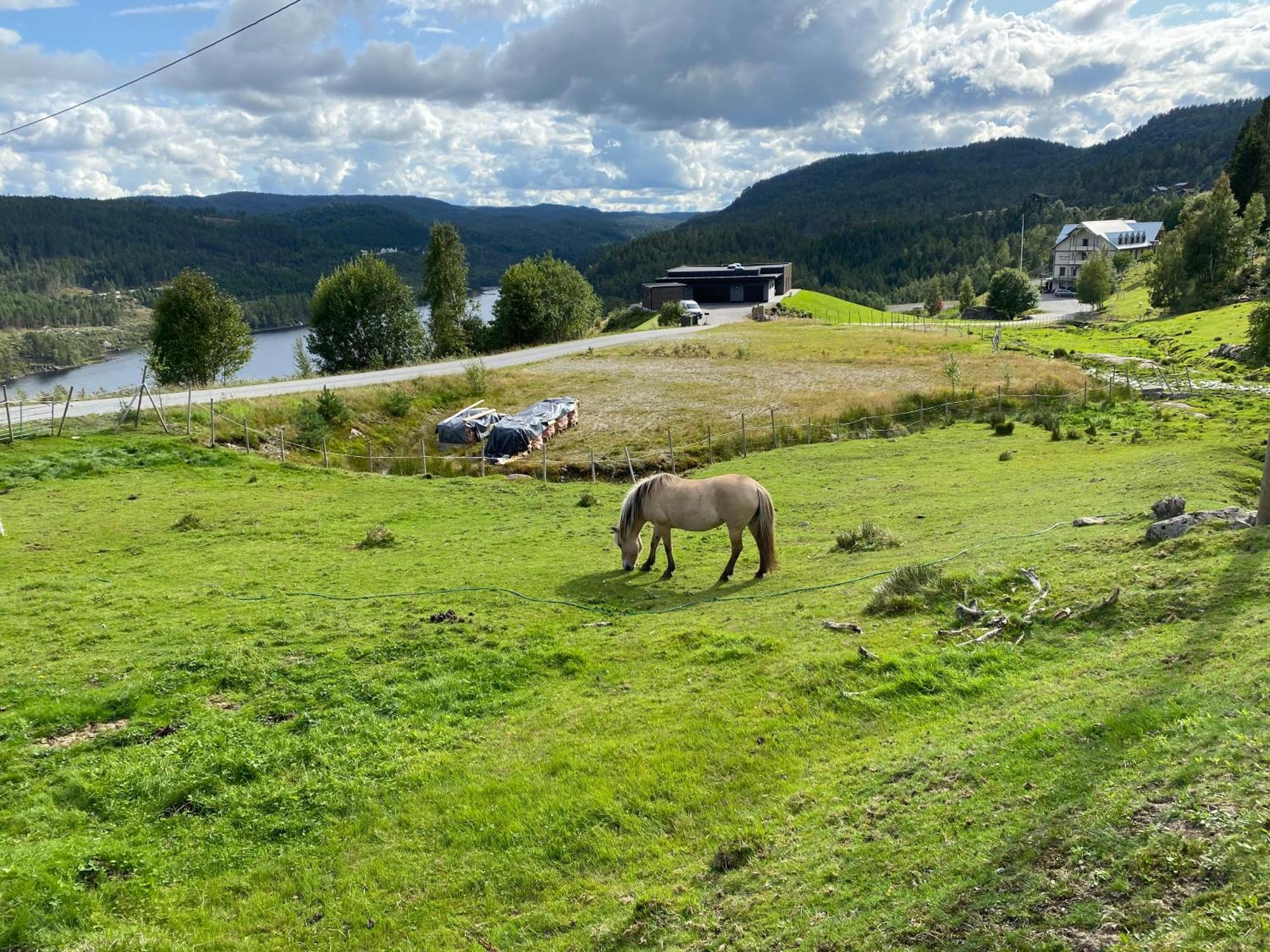 Hygge Pa Fjellet Vila Øyuvstad Exterior foto